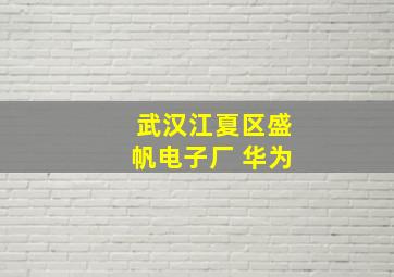 武汉江夏区盛帆电子厂 华为